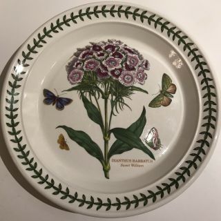 Portmeirion Botanic Garden Salad Plate 8.  5 " Dianthus Barbatus/sweet William