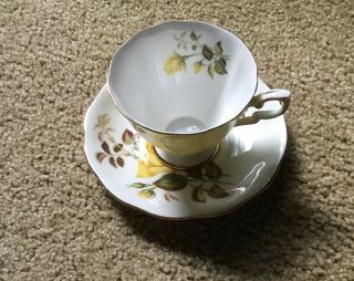 Vintage Royal Staffordshire Bone China Tea Cup And Saucer