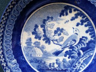 Antique / Vtg Sm Blue & White Dish / Bowl w Bird & Scene - Oriental,  England? 3