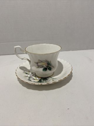 Vintage Royal Albert Bone China England Teacup And Saucer