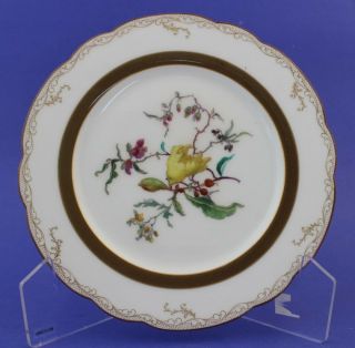 Vintage Signed Haviland Co Limoges France Porcelain Scalloped 8.  5 " Salad Plate