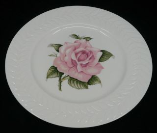 Vintage Theodore Haviland Of York Dinner Plate,  Regents Park Rose,  Shenango
