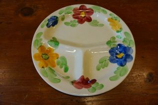 Vintage Romarco Ware England Divided Dinner Plate 11 " Floral