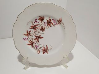 H & C0 Limoges Hand Painted Plate With Berries And Leaves 8 1/2 " Gold Trim