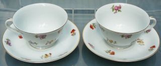 Vtg Noritake Made In Occupied Japan China Teacup & Saucer,  Spring Garden? 2 Avail