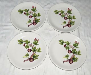 Smith & Hawken Fig Leaf Botanical Plates - Set Of Four 8 " Dessert Plates