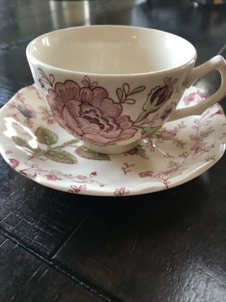 Rose Chintz Tea Cup And Saucer Pink,  Johnson Brothers,  England Pink