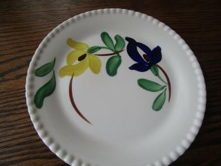 Blue Ridge Southern Pottery Hand Painted Carnival Bread & Butter Plate (s)