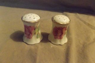 Antique Hand Painted Roses Porcelain Salt & Pepper Shakers Royal Austria