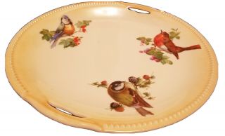 Antique Hand Painted Birds Cake Plate Germany
