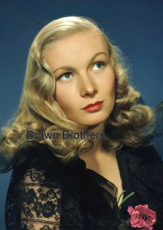 1940s Hollywood Actress Peek - A - Boo Blonde Veronica Lake 8x10 Photo Transparency