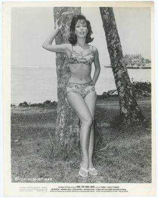 Leggy Bathing Beauty Barbara Eden 1964 Ride The Wild Surf Production Photograph