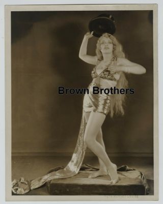 1920s Mgm Actress Anita Page Oversized Dbw Photo Blindstamp Ruth Harriet Louise