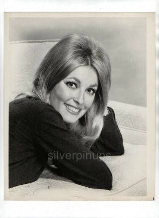 Orig 1966 Sharon Tate Dazzling Beauty.  Glamour Portrait.  Film Debut