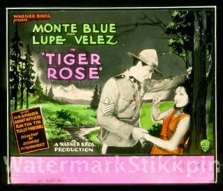 1929 Glass Slide Movie Monte Blue Tiger Rose Lupe Velez Rin Tin Tin Dog Wb Film