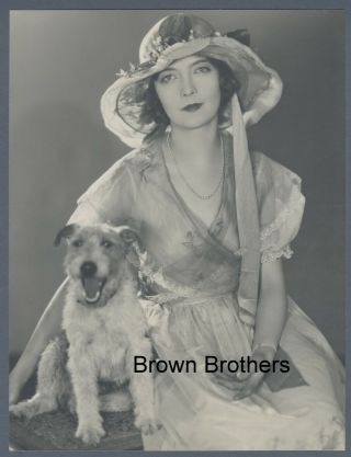 1920s Hollywood Lillian Gish W/dog Oversized Dbw Photo By Roth Harriet Louise Bb