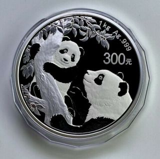 2021 China Panda 1 Kilo Silver Coin And