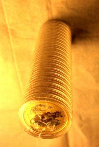 1/10 Oz gold ox 2009 Australian colorized lunar ounce ROLL of TWENTY 2