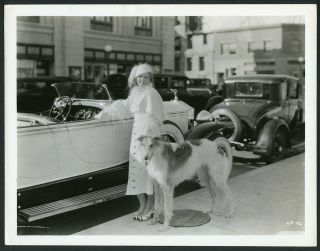 Jean Harlow W Dog Vintage 1932 Photo " Red Headed Woman "