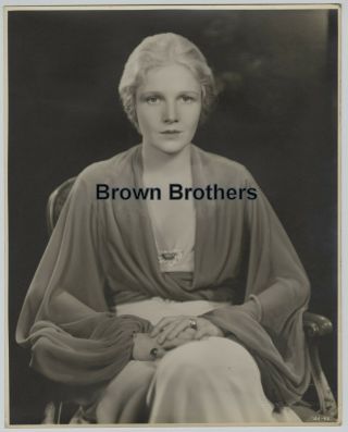 1920s Film & Stage Star Ann Harding Oversized Dbw Photo Blindstamp Bachrach Bb