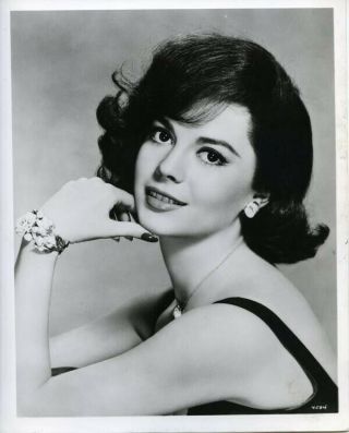 Natalie Wood Breathtaking Mgm Stamped Glamour Pin Up 8x10 Photograph