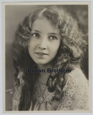 1920s Hollywood Actress Innocent Bessie Love Dbw Photo By Witzel 2 - Bb