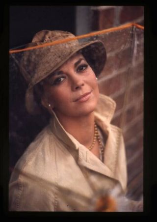 Natalie Wood Stunning Glamour Portrait Trenchcoat Hat 35mm Transparency