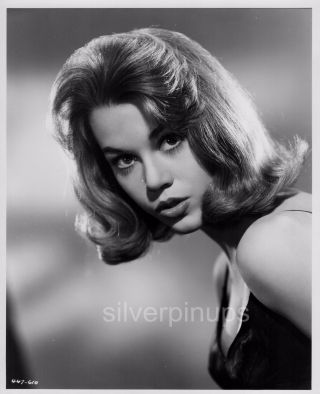 Orig 1960 Jane Fonda Sexy And Chic.  " Tall Story " Portrait.  Film Debut
