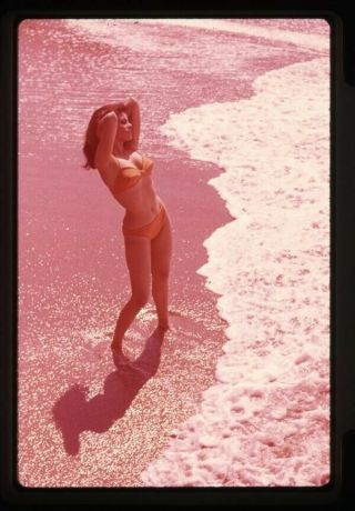 Raquel Welch Sexy Barefoot Bikini Glamour Pose On Beach 1960 