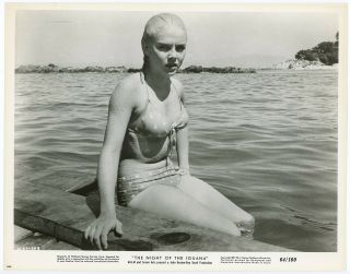 Bikini - Clad Blonde Sue Lyon In The Night Of The Iguana 1964 Photograph