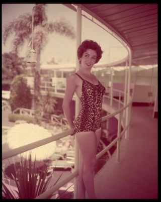 Linda Cristal Sexy Exotic Glamour Pin Up Leopard Swimsuit Transparency