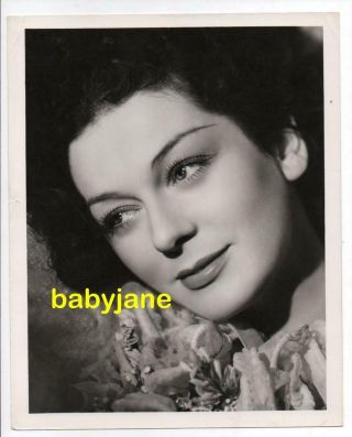 Rosalind Russell Vintage 8x10 Photo By George Hurrell 1935 Portrait Rendezvous