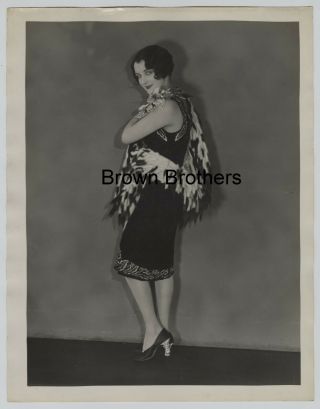 1920s Hollywood Gertrude Olmstead Oversized Dbw Photo Blind Stamp Ruth H Louise