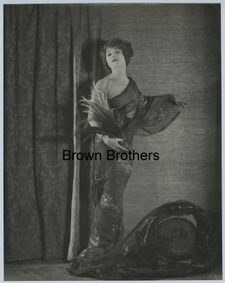 Vintage 1920s Actress Betty Compson Stunning Feather Gown Oversized Dbw Photo Bb