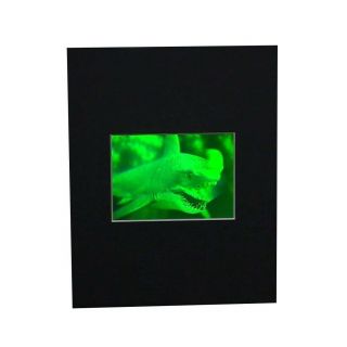 3d Shark (great White) 2 - Channel Hologram Picture Matted,  Polaroid Photopolymer