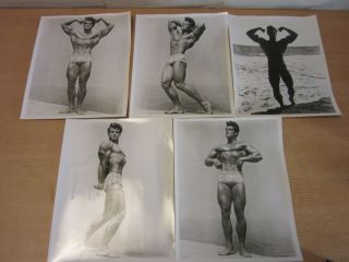 5 Vintage 8 " X10 " Steve Reeves Bodybuilder Flex Photographs