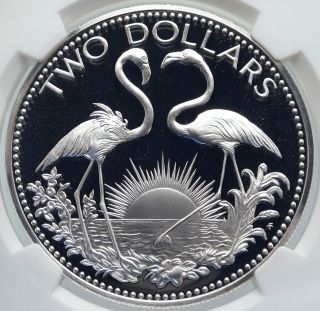 1974 The Bahamas Bohemian Arms Flamingos Vintage Proof Silver $2 Coin Ngc I86021