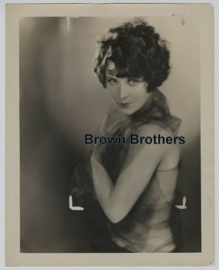 1920s Hollywood Betty Compson Sheer Chiffon Oversized Dbw Photos (2 Edwin Hesser