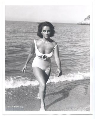 Elizabeth Taylor 1959 Suddenly,  Last Summer 8x10 Bathingsuit Sexy