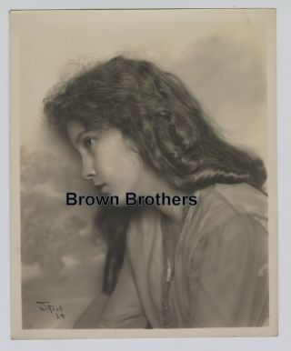 1920s Hollywood Actress Innocent Bessie Love Dbw Photo By Witzel 1 - Bb