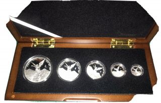 2011 Mexico Silver 5 Coin Libertad Proof Set.  999 Untouched
