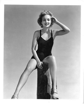 Evelyn Keyes Stunning Vintage Glamour Pin Up Bathing Suit Stamped Photo