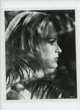 She Ursula Andress Movie Still 8x10 English Hammer 1965 23173