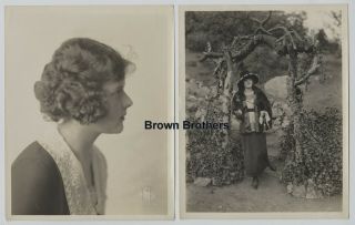 1920s Hollywood Silent Film Star Marjorie Daw Dbw Photos (2) Blindstamp Browers