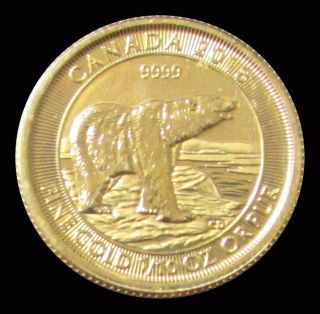2018 Gold Canada 3.  15 Gram 1/10 Oz $5 Dollar Polar Bear Coin Gem Bu
