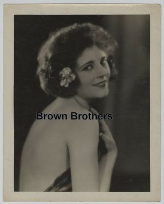 1920s Silent Film Sultry Claire Adams Oversized Dbw Photo By Edwin Bower Hesser