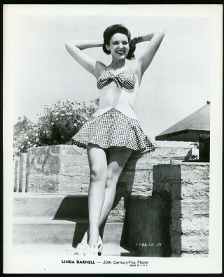 Linda Darnell In Leggy Pin - Up Portrait Vintage 1940s Photo