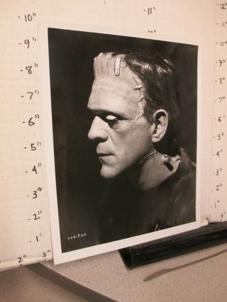 Bride Of Frankenstein 1935 Universal Monster Photo Boris Karloff Head Side Dark