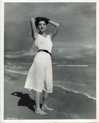 Elsa Martinelli 1960 