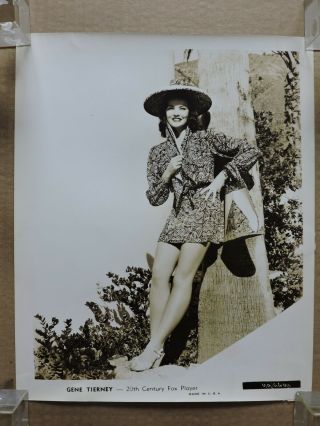 Gene Tierney Leggy Fashion Pinup Portrait Photo 1940 